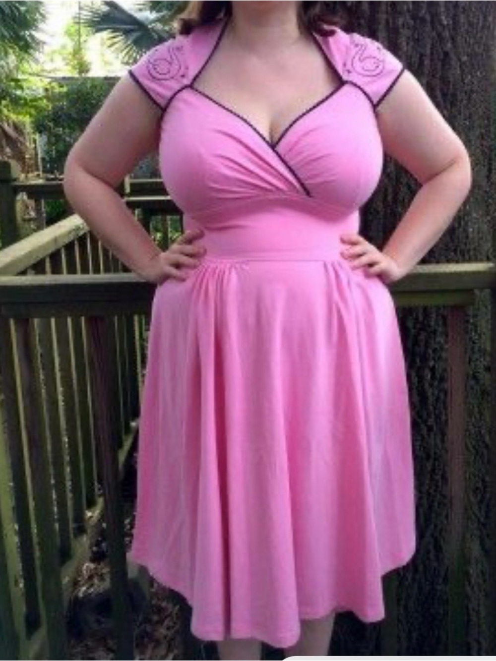 Pinup Couture PUG Luscious Stretch Dress In Pink Swan Embroidery Size L NWOT